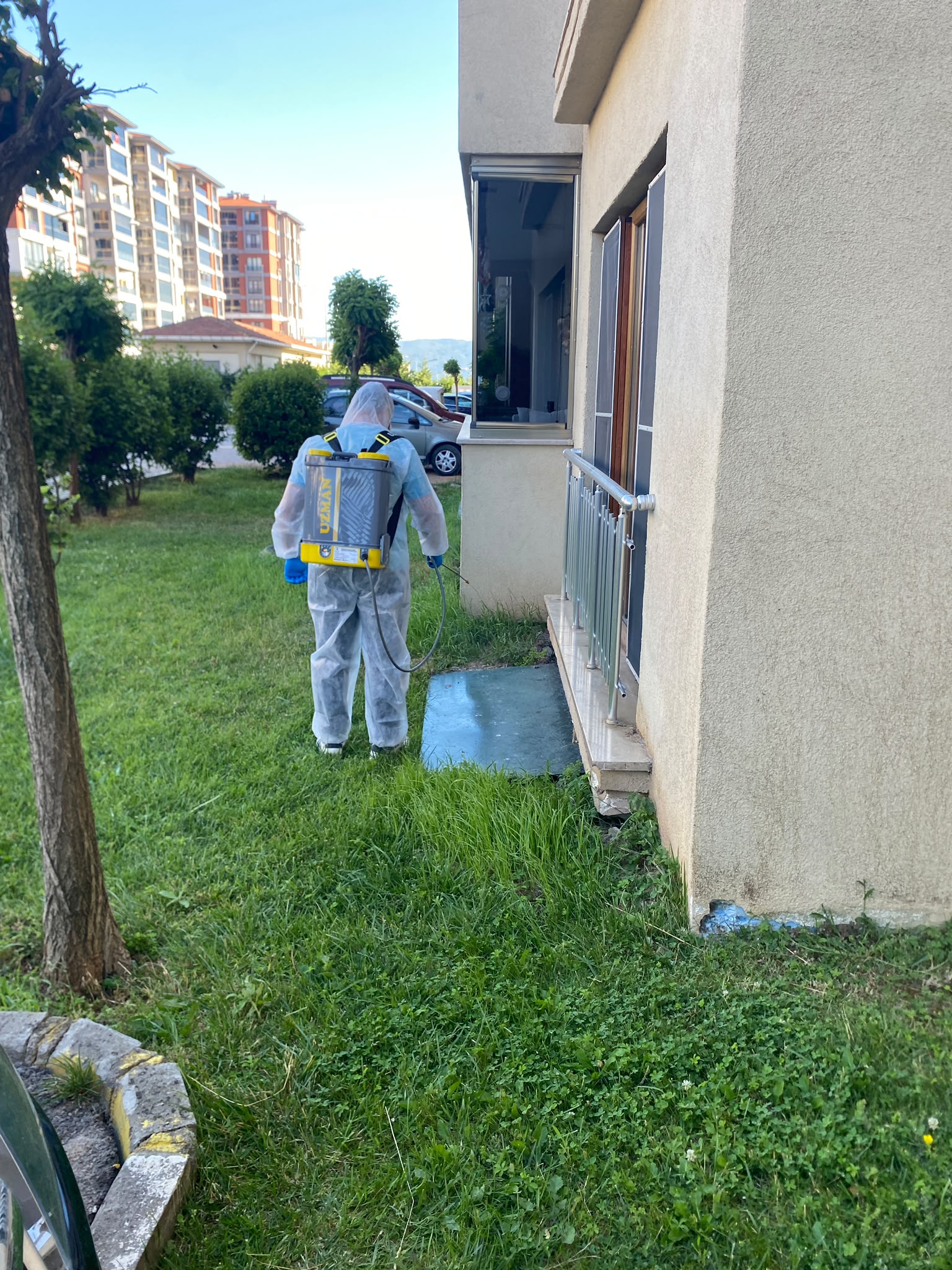 BAŞISKELE İLAÇLAMA